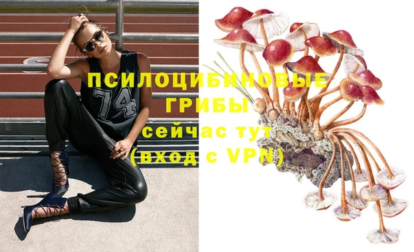 меф Майский
