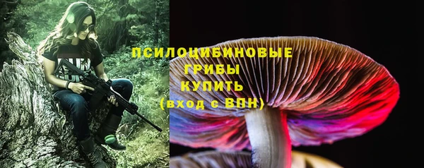 меф Майский