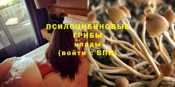 твердый Магас