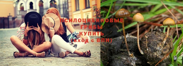 твердый Магас