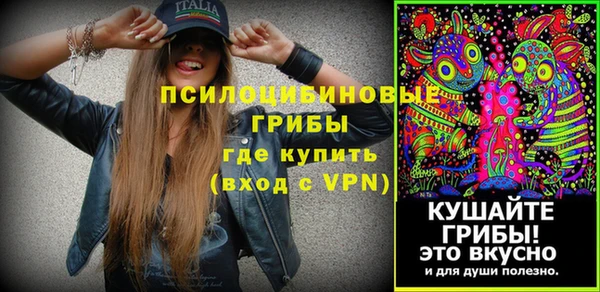 твердый Магас