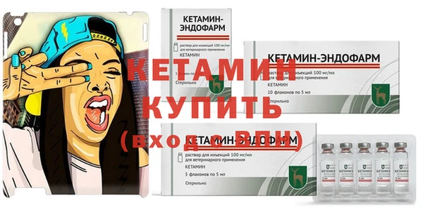 твердый Магас