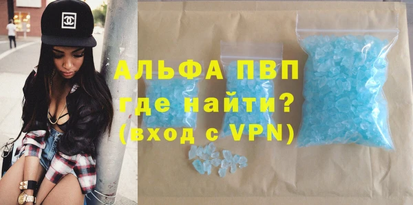 твердый Магас