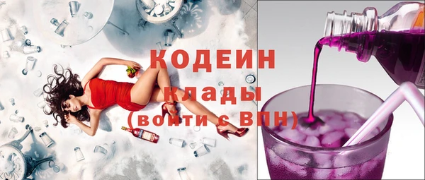 твердый Магас