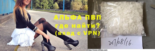 твердый Магас