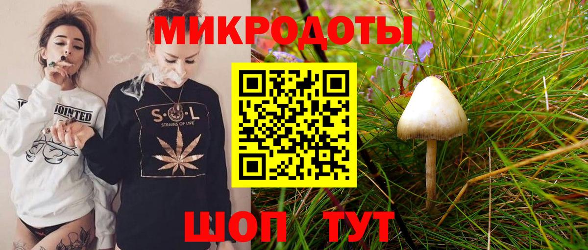 Псилоцибиновые грибы ЛСД Геленджик