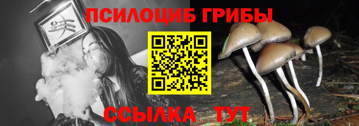 Галлюциногенные грибы мухоморы Геленджик