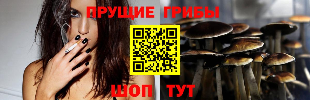 Псилоцибиновые грибы мухоморы  Псилоцибиновые грибы MAGIC MUSHROOMS  Вход с VPN  Геленджик 